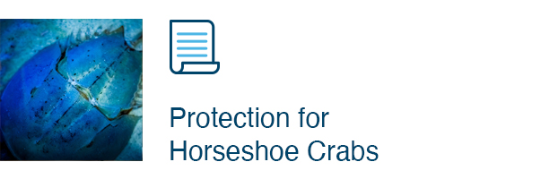 Protection for Horseshoe Crabs 