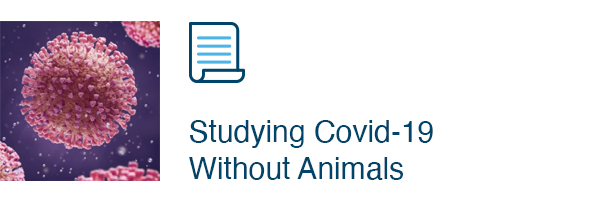 Studying Covid-19 Without Animals