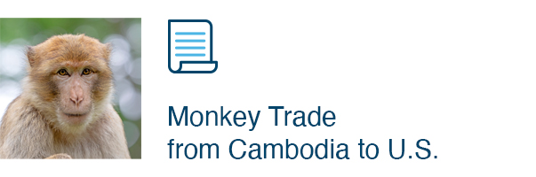 Monkey Trade from Cambodia to U.S.