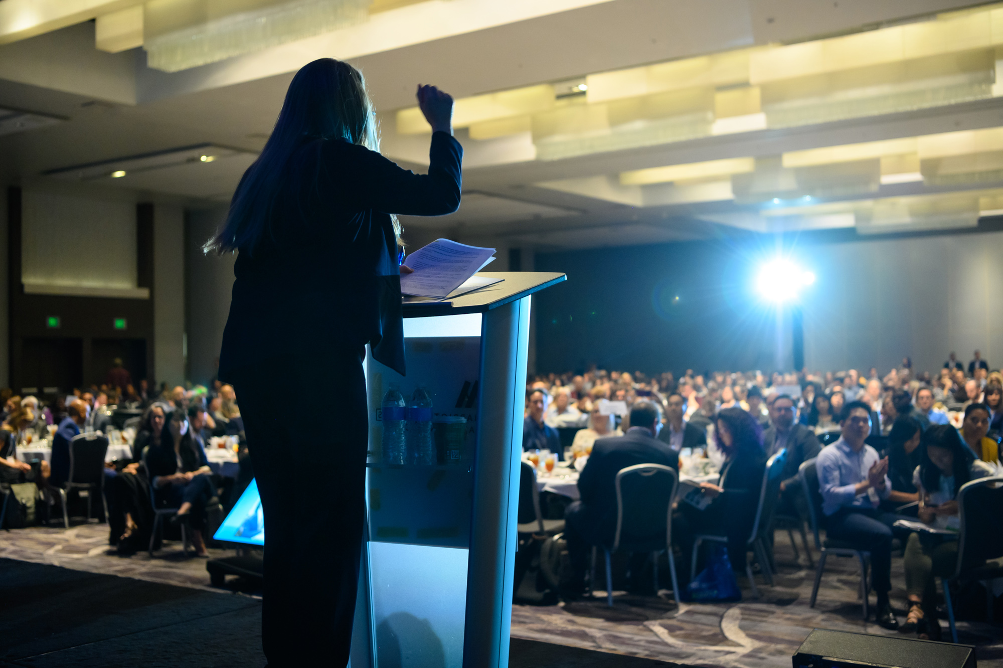 Amie adressing a crowd at a past conference