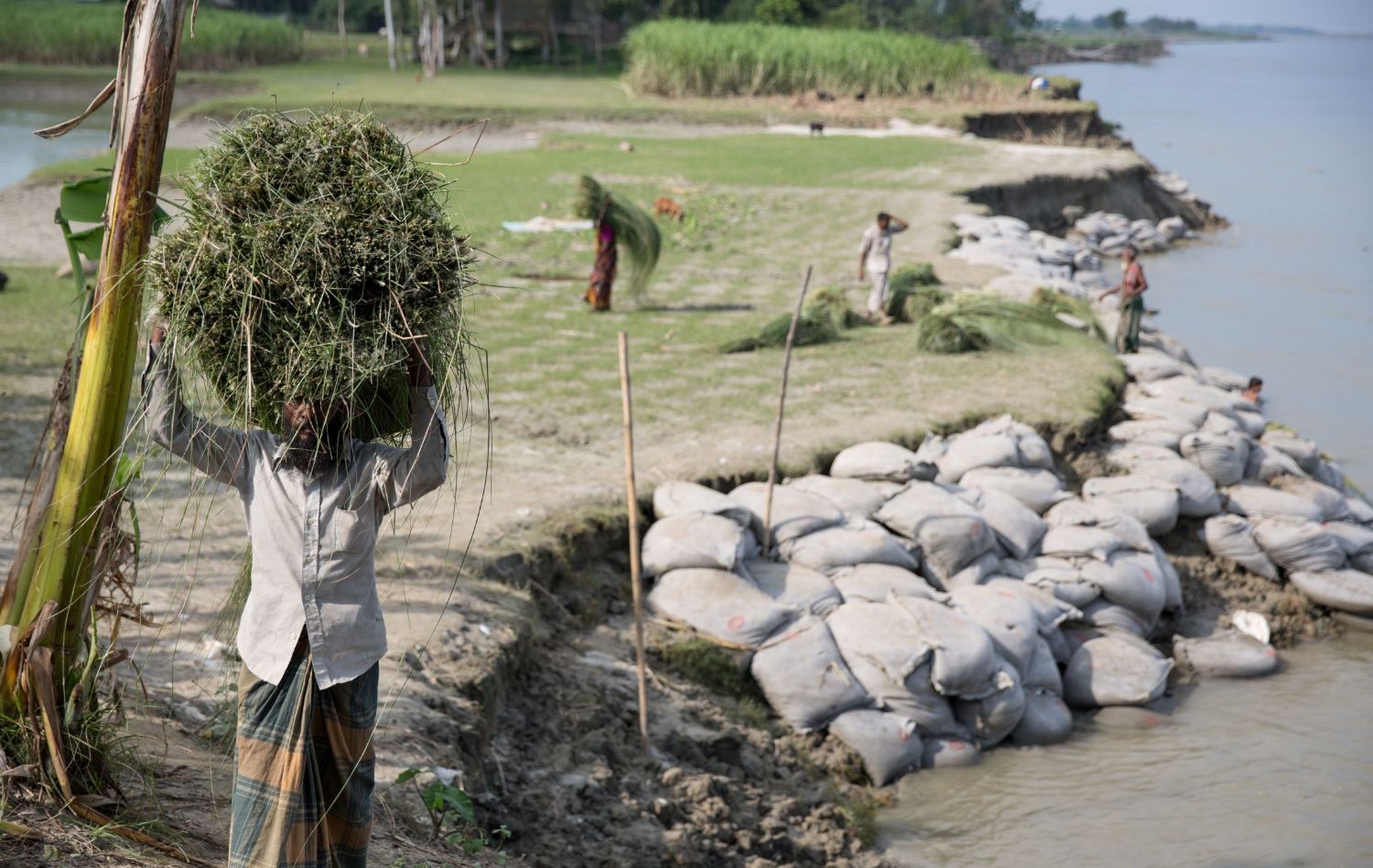 A man walks through a community affected by river erosion in Bangladesh