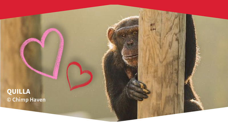 Happy Valentine's Day!