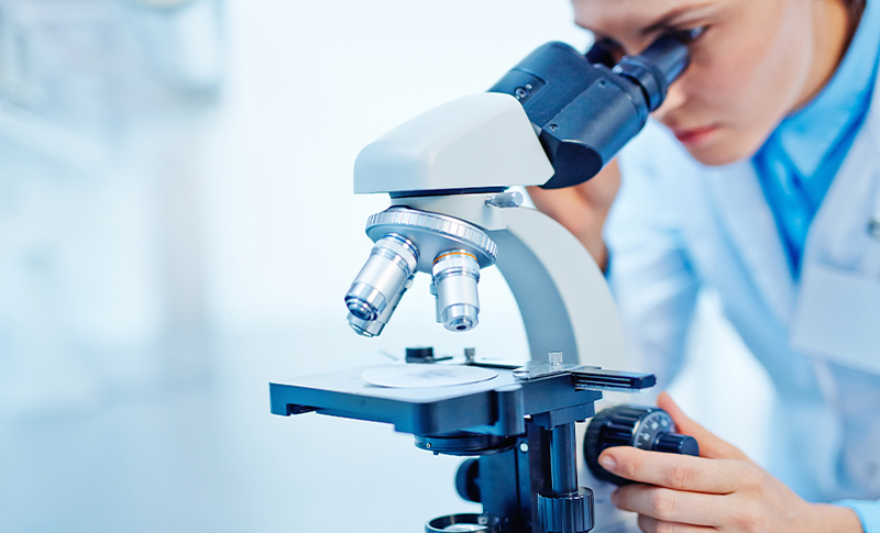 Microscope Image