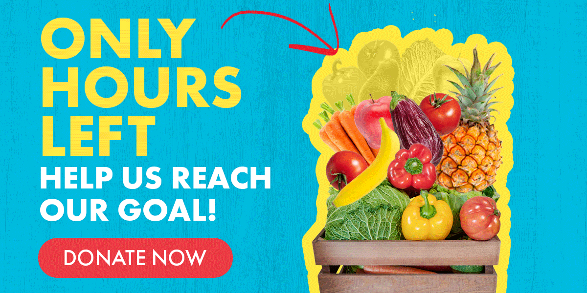 Only hours left - help us reach our goal! DONATE NOW