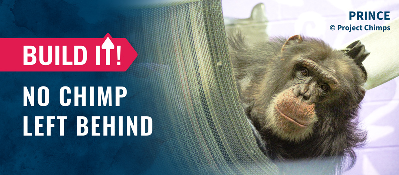 No Chimp Left Behind