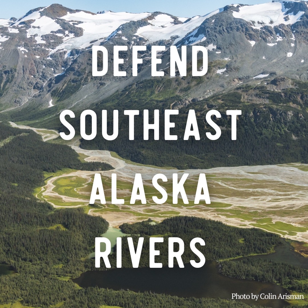 A scene of wild rivers flowing in front of mountains in Alaska. The text over the image says Defend Southeast Alaska Rivers. The photo is credited to Colin Arisman.