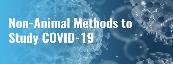 Non-Animal Methods to Study COVID-19