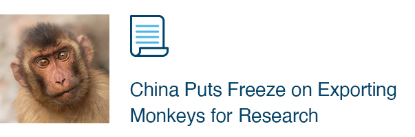 China Puts Freeze on Exporting Monkeys for Research