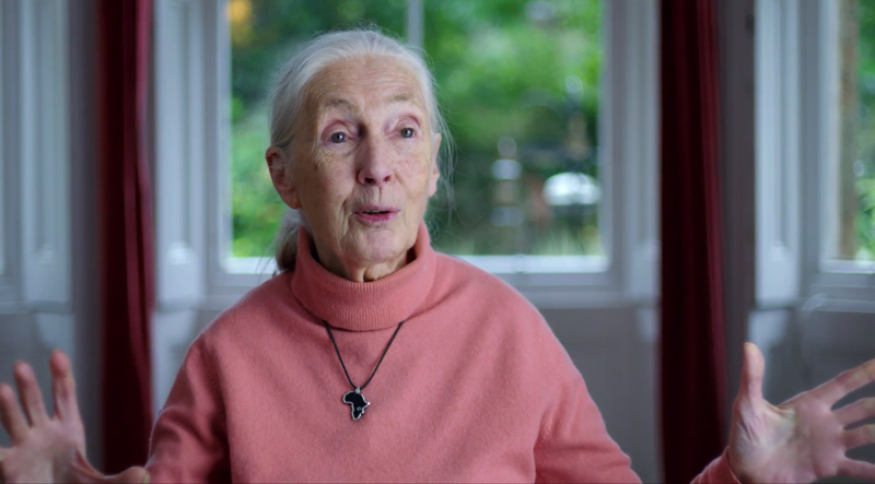 Jane Goodall Still Inspires