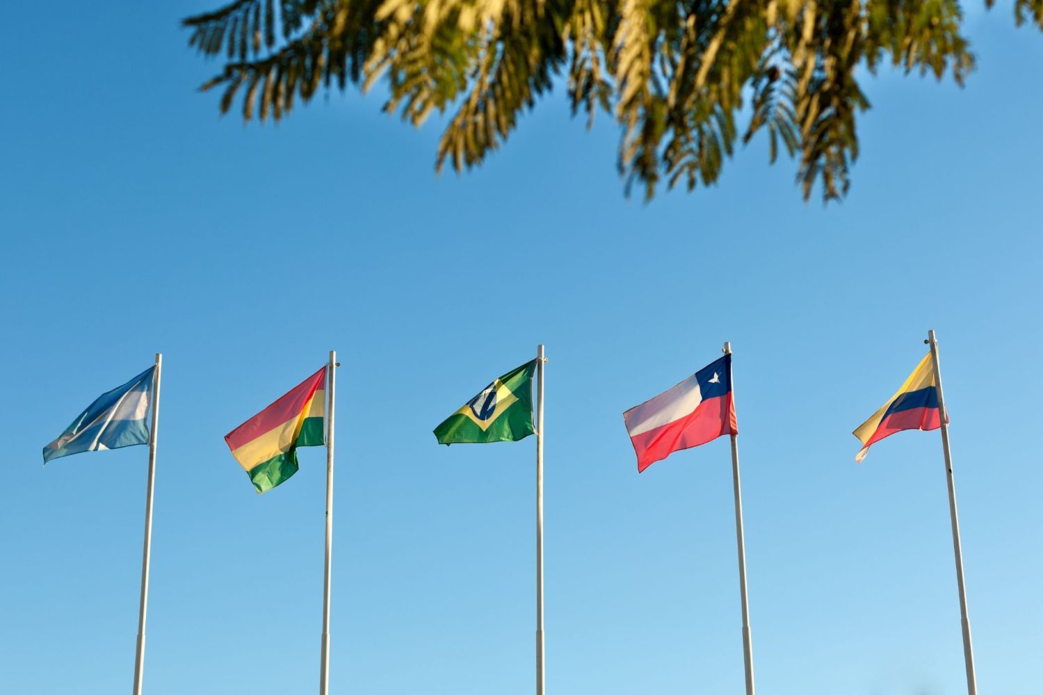 Banderas de países sudamericanos.