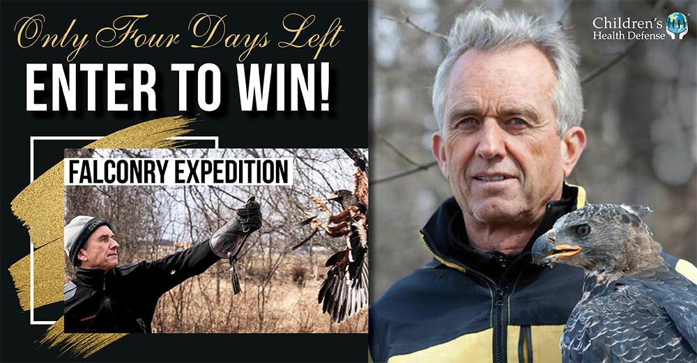 Final Chance to Win a Day of Falconry with JFK Jr.