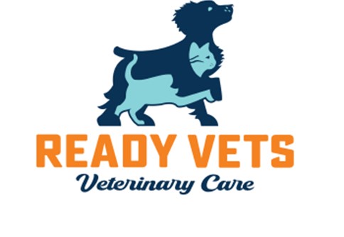 The image features the logo for Ready Vets. The words ‘Ready Vets’ are written in orange block letters, with the words ‘Veterinary Care’ written below in dark blue cursive. Above the words are a dark blue dog and light blue cat standing side by side and embracing each other. They are holding each other’s right paw.