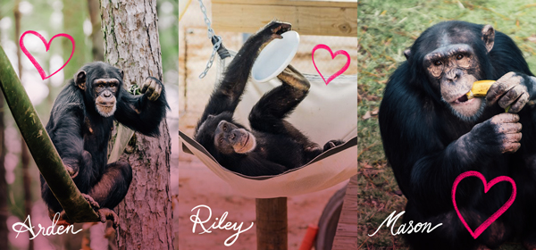 Happy Valentine's Day!