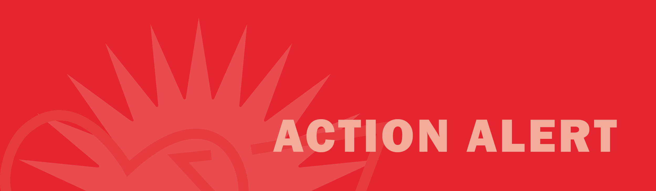 PFLAG Action Alert