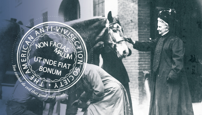 Caroline Earle White with Horse and AAVS Seal