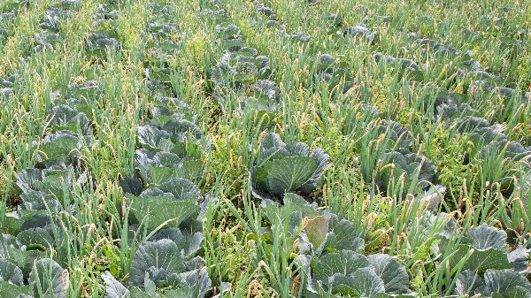 Climate & Energy Working Group Stock Image