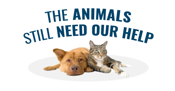Animals Need Our Help