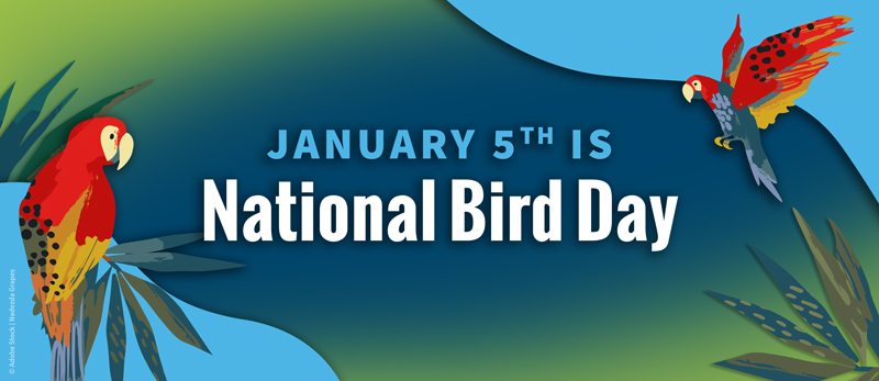 National Bird Day, January 5, 2023