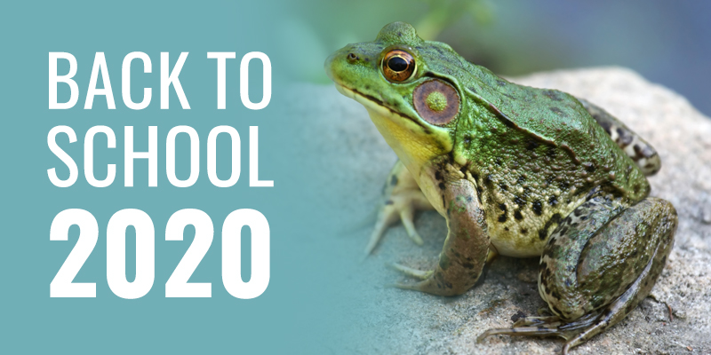 Back to School 2020