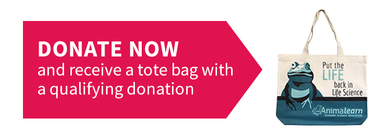 Donate Now