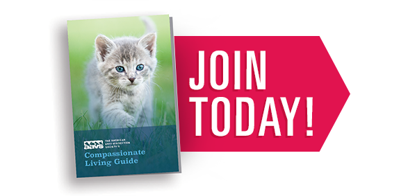 Join AAVS and Receive Our Compassionate Living Guide