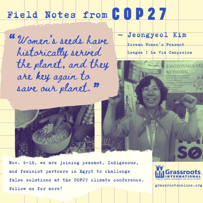 Jeongyeol Kim of Korean Women’s Peasant League at COP27: “women’s seeds have historically served the planet, and they are key again to save our planet.”