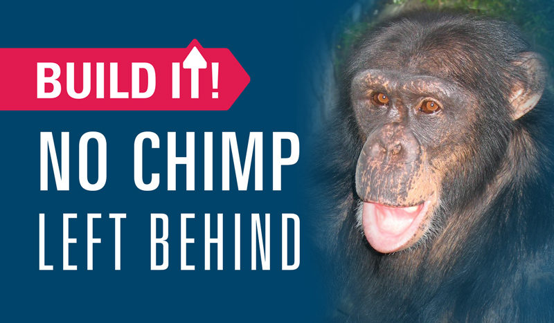 No Chimp Left Behind