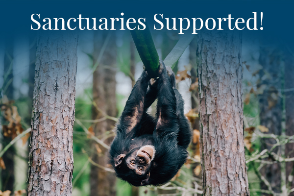 Sanctuaries Supported!