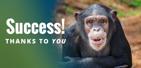 Success! Thanks to You
