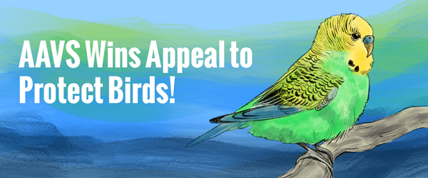 AAVS Wins Appeal to Protect Birds!