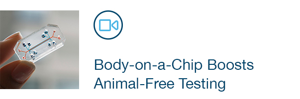 Body-on-a-Chip Boosts Animal-Free Testing