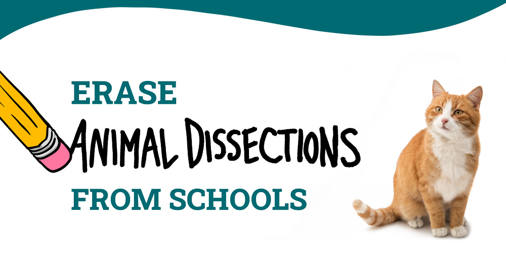 Erase Animal Dissections from Schools