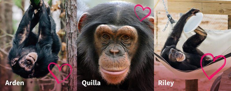 Happy Valentine's Day!