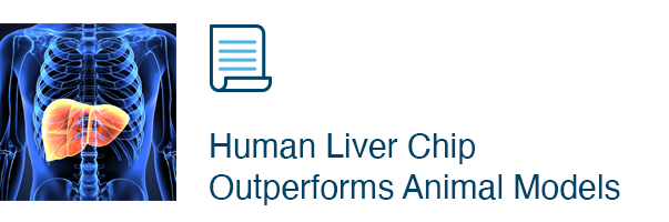 Human Liver Chip Outperforms Animal Models