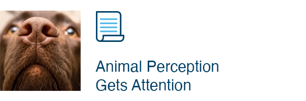 Animal Perception Gets Attention