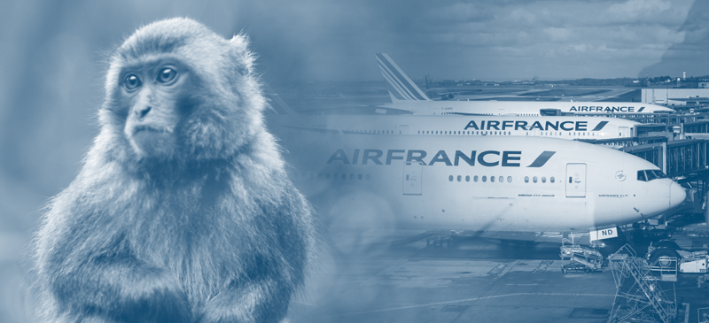 Air France to End Primate Transport