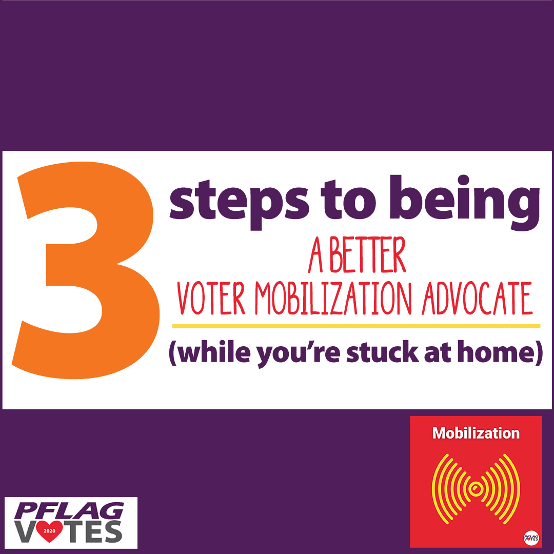 Voter mobilization