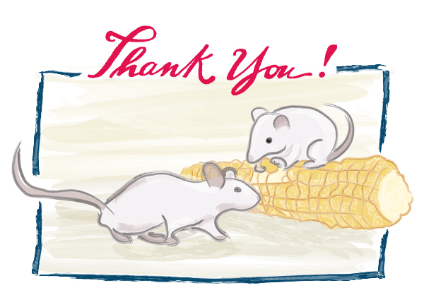 Thank you!