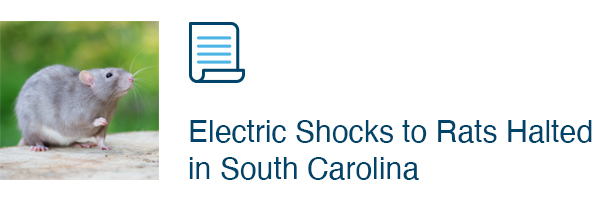 Electric Shocks to Rats Halted in South Carolina