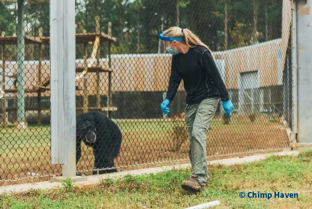 Caregiver Robyn and Crystal from Chimp Haven