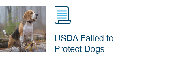 USDA Failed to Protect Dogs