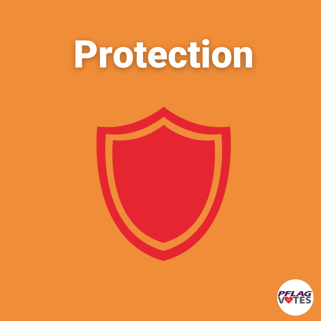 Protect the vote
