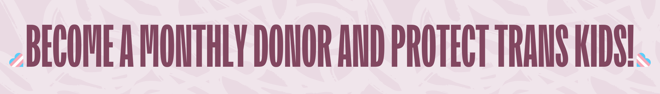 Become a monthly donor and protect trans kids
