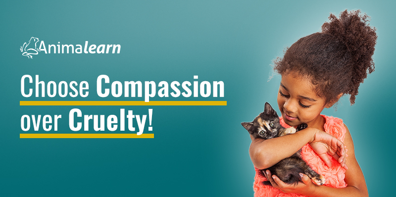Choose Compassion over Cruelty!