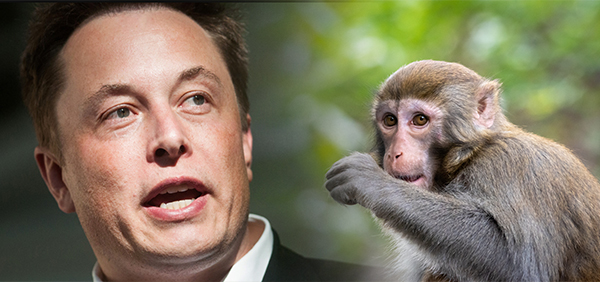 Elon Musk, Neuro Research is No Game!