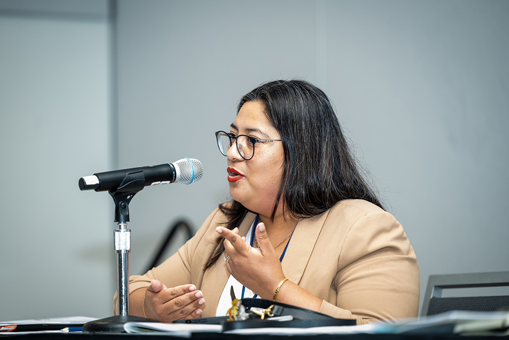 Board member presenting a workshop