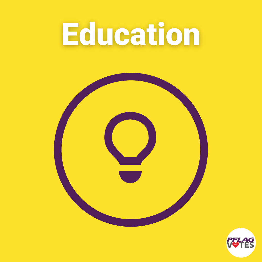 Voter Education