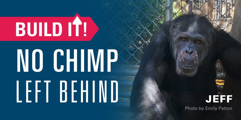 No Chimp Left Behind