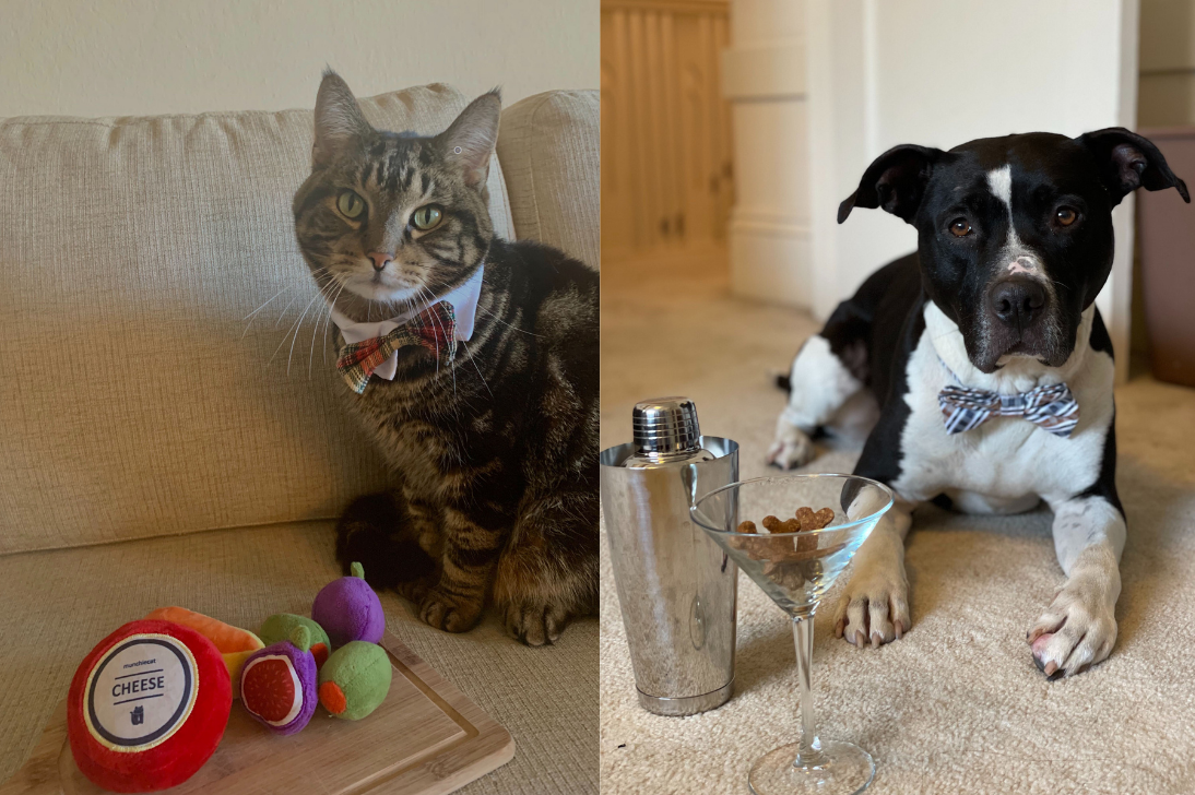 Leo and Bruno dressed up