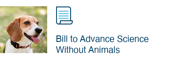 Bill to Advance Science Without Animals 